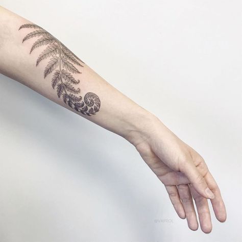 Koru Fern Tattoo, Fern Bracelet Tattoo, Wrap Around Fern Tattoo, Fern Shoulder Tattoo, Fiddlehead Fern Tattoo, Fern Arm Tattoo, Fern Tattoo Arm, Fern And Flower Tattoo, Moss Tattoo