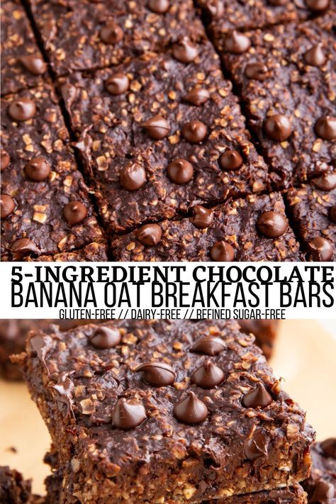 Healthy Chocolate Banana Oatmeal Breakfast Bars are healthy enough to enjoy with breakfast and delicious enough for dessert! Made with 5 basic ingredients and one bowl, this easy recipe requires zero baking experience. #vegan #chocolate #banana #oats #breakfast #oatmeal #healthy #glutenfree Banana Oats Breakfast, Banana Oatmeal Breakfast Bars, Banana Chocolate Recipes, Gluten Free Breakfast Bars, Banana Oatmeal Bars, Oatmeal Bars Healthy, Oatmeal Dessert, Healthy Chocolate Banana, Chocolate Oatmeal Bars