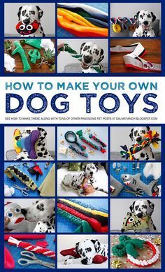 Homemade Dog Toys, Dogs Diy Projects, Chien Golden Retriever, Diy Pet Toys, Pet Crafts, Diy Dog Toys, Positive Dog Training, Best Dog Toys, Dog Enrichment