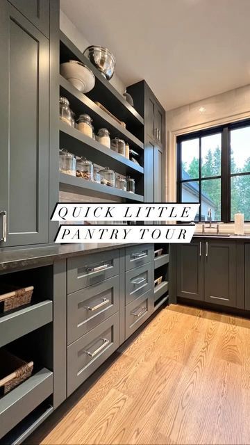 Melissa Manzardo Hryszko on Instagram: "Quick little pantry tour. When designing our home, I wanted a pantry with a lot of natural light and a second sink and dishwasher. When entertaining, this space comes in so handy as the dumping ground for all of the dishes and serving platters to keep our kitchens nice and tidy. Coming soon some mind-blowing pantry’s in our upcoming projects. Stay tuned for those!! #pantry #pantryorganization #pantrygoals #pantrydesign #kitchendesign #kitchen #kitch Butlers Pantry With Sink And Fridge, Butlers Pantry With Appliances, Butlers Pantry With Refrigerator, Butlers Pantry Behind Kitchen Wall, Butlers Pantry Cabinet Ideas, Butlers Pantry Mudroom Combo, Butler Pantry With Sink, Open Butlers Pantry, Barndo Pantry