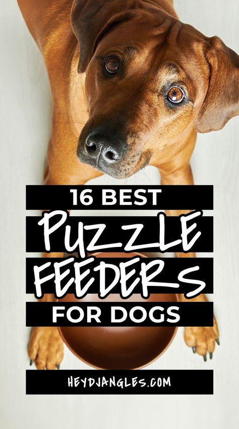 Diy Puzzle Feeder For Dogs, Dog Interactive Toys, Dog Boredom Buster, Dog Tricks Easy, Dog Boredom, Brain Games For Dogs, Dog Leash Training, Toy Brands, Reactive Dog