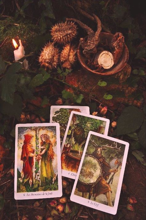 Verde Aesthetic, Wildwood Tarot, Tarot Aesthetic, Contemporary Fantasy, Eclectic Witch, Tarot Card Readers, Oracle Tarot, Season Of The Witch, Tarot Art