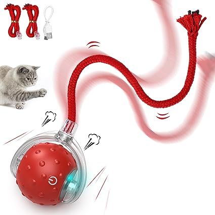 Bird Calls, Cat Ball, Kitten Toys, Interactive Cat Toys, Marble Wood, Catnip Toys, Pet Training, Cat Health, Indoor Cat