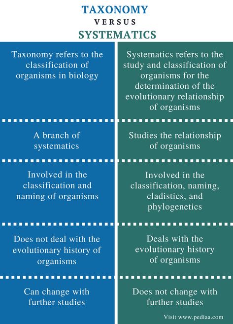 Difference Between Taxonomy and Systematics | Definition, Components, Role Taxonomy Biology Notes, Taxonomy Biology, Phylogenetic Tree, Learn Biology, School Biology, Biology Classroom, High School Biology, Biology Notes, What Is The Difference Between