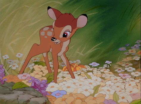 It's not just about enchanted roses. Bambi 1942, Old Disney Movies, Bambi Disney, Disney Icons, Images Disney, Disney Animals, Old Disney, Pinturas Disney, Disney Aesthetic