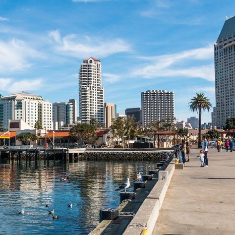 Stretching For Beginners, San Diego City, San Diego Bay, Places In California, San Diego Travel, San Diego Living, Beginners Yoga, San Diego Beach, Downtown San Diego