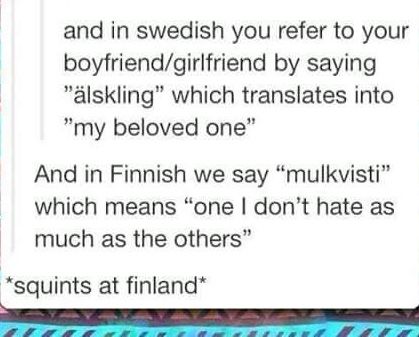 Swedish vs Finnish term of endearment “squints at Finland” Terms Of Endearment In Other Languages, Swedish Humor, Laughing Funny, Swedish Language, Ironic Memes, Together Quotes, Terms Of Endearment, Language Study, Foreign Languages