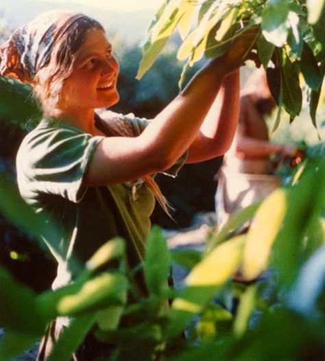 Photo from “Brotherhood of The Sun”: Commune Living. Very interesting community- read about it if you have time! 70s Commune, Happy Community, Community Photos, Community Aesthetic, Hippie Commune, Intentional Community, Hippie Culture, Community Living, Hippie Life