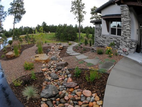 Xeriscape Landscaping Backyard, Front Yard Xeriscape Ideas, Xeroscaping Backyard, Front Yard Xeriscape, Xeriscape Colorado, Lawn Free Yard, Xeriscape Ideas, Colorado Landscaping, Xeriscape Front Yard