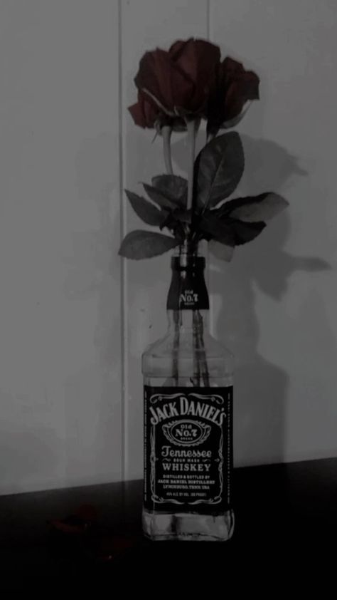 Gothic Academia, Jack Daniels Distillery, Alcohol Aesthetic, Flat Ideas, Cute House, Room Design Bedroom, Scary Stories, Rose Art, Jack Daniels