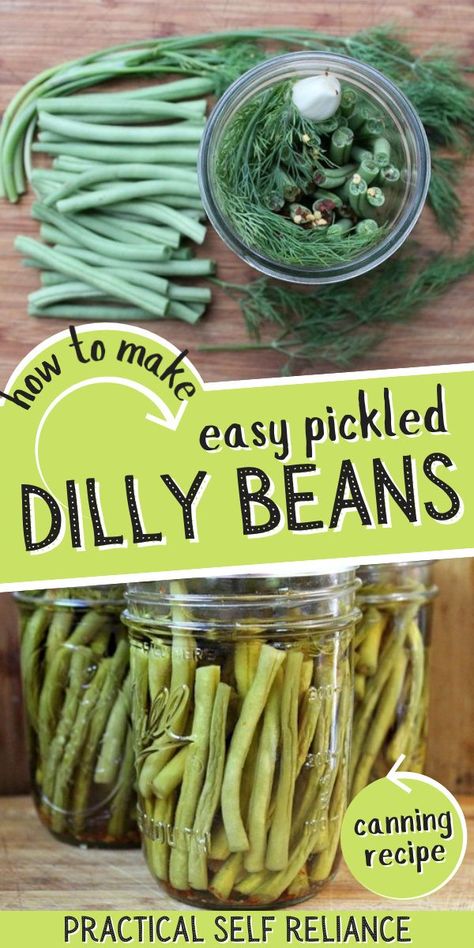 Dill Beans, Pickled Dilly Beans, Dilly Beans Recipe, Pickled Green Bean Recipes, Recipes For Canning, Pickle Recipes Homemade, Cold Soups, Pickled Green Beans, Dilly Beans