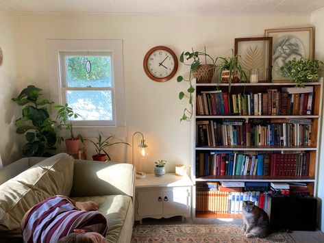 Studio Apartment Cottagecore, Cozy Home With Cat, Bright Cozy Home, Cozy Cluttered Home, Cat In Living Room, Cozy Lived In Home, Apartment Bookshelf, Small Cozy Home, Cozy Flat