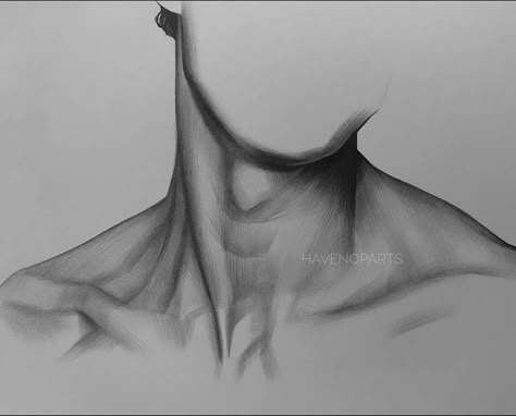 Neck Shading Drawing, Collarbone Drawing, Neck Sketch, Neck Drawing, Button Fashion, Knit Polo Shirt, Cool Pencil Drawings, Portraiture Drawing, Anatomy Sketches