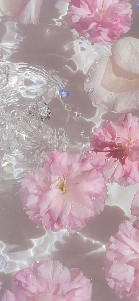 Cute Bright Wallpapers, Big Boy Bedrooms Toddler, Wallpaper Aesthetic Flower, Fall Wallpaper Ipad, 3d Lockscreen, Bg Background, Home Screen Wallpapers, Pink Layout, Flowers In Water