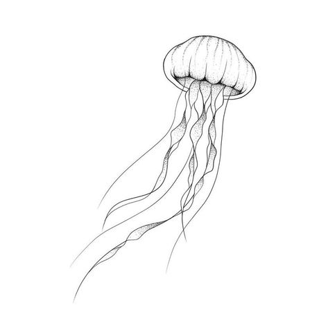 Tattoo Jellyfish Minimalist, Fine Line Jellyfish Tattoo, Line Art Jellyfish, Jelly Fish Tattoo Design, Simple Jellyfish Drawing, Jellyfish Drawing Simple, Jellyfish Line Art, Jellyfish Tattoo Minimalist, Simple Jellyfish Tattoo