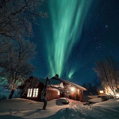 #travelbooks hashtag on Instagram • Photos and Videos Northern Lights Norway, Polar Night, Aurora Borealis Northern Lights, See The Northern Lights, Tromso, Light Wave, A Cabin, Destination Voyage, The Aurora