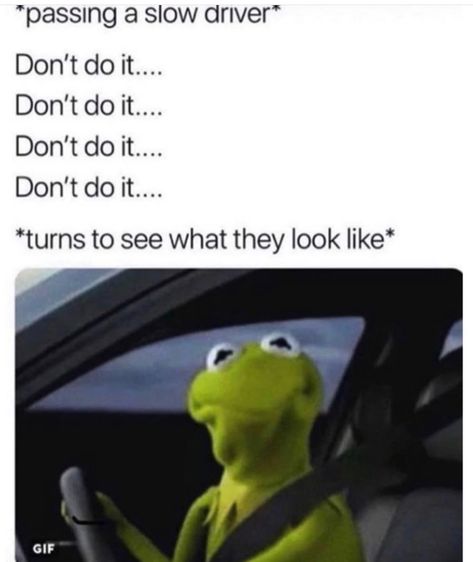 Slow driver lol lmao Funny Kermit Memes, Cool Memes, Kermit Funny, 9gag Funny, Humor Mexicano, Horror Movie Posters, 웃긴 사진, Crazy Funny Memes, Memes Humor