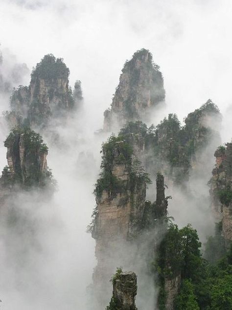 Zhangjiajie Stone Forest, China Tianzi Mountains, Chinese Mountains, Stone Forest, Huangshan, Asian Landscape, Zhangjiajie, Scenic Photography, Chinese Landscape, Beautiful Travel