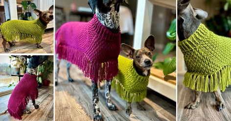 Easy Dog Poncho Crochet Pattern Dog Poncho Pattern, Dog Poncho Crochet Pattern, Crochet Dog Poncho, Crochet Dog Poncho Free Pattern, Easy Dog Sweaters Crochet Free, Pancho Pattern, Crochet Dog Sweater Free Pattern, Dog Poncho, Crochet Pets