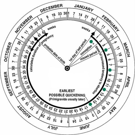 Pregnancy Due Date Calculator Week by Week Pregnancy Week Calculator, Pregnancy Due Date Calculator, Due Date Calculator, Surgical Equipment, Pregnancy Due Date, Pregnancy Calendar, Pregnancy Calculator, Pregnancy Progression, Gestational Age