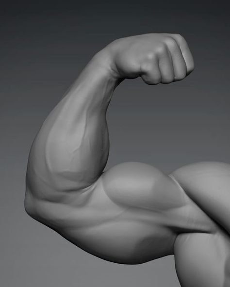 Back Hand Reference, Flexing Muscles, Zbrush Anatomy, Arm Anatomy, Anatomy Practice, Man Anatomy, Anatomy Sculpture, Human Anatomy Drawing, Muscle Anatomy