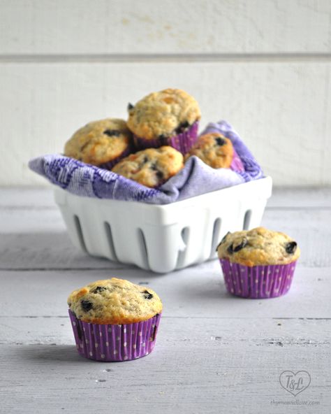 Concord Grape Muffins - Thyme & Love Grape Muffin Recipes, Corn Dog Bites Recipe, Concord Grape Recipes, Grapefruit Dessert, Grape Snacks, Jazzy Vegetarian, Recipes Corn, Make Flour, How To Make Flour