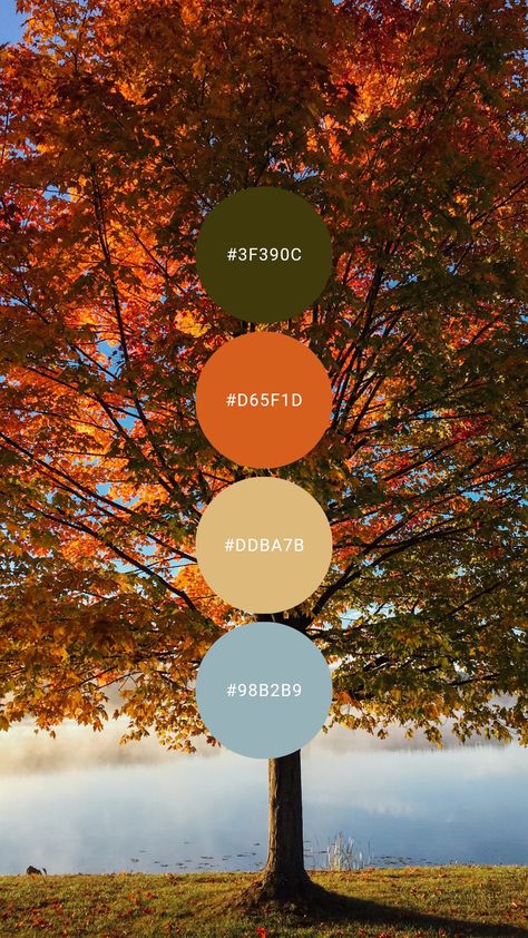 #colourpalette #colorpalette #colour #color #palette #cornflower #blue #pumpkin #orange #autumn #fall Navy Fall Color Palette, Orange Blue Cream Color Palette, Fall Blue Color Palette, Blue Fall Color Palette, Pumpkin Color Palette, Cowboy Color Palette, Periwinkle And Orange, September Color Palette, Fall Color Pallet