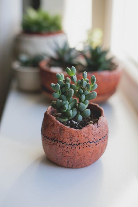 Handmade Clay Plant Pot, Pottery Succulent Pots, Clay Sculpture Plant Pot, Plant Pot Ceramic Handmade, Unique Ceramics Pots & Planters, Handmade Clay Pots, Plant Decor Indoor, Succulent Gardening, Thrown Pottery