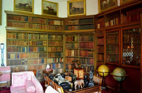 Castle Library, Calke Abbey, Manor Homes, Derbyshire England, English Castles, Book Room, National Trust, Manor House, The National