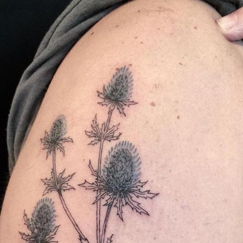 amara snakeroot hollow bones on Instagram: "blue thistle from today with san 💙 so happy for this to be my first tattoo along with a daisy on their arm in the new @communityinkcollective space! — they were also the first person i tattooed in the original community ink space! . . . . . . . . . . . . #amarahollowbones #qttr #floraltattoo #botanicaltattoo #queertattooartist #queertattooer #queermagic #botanicalart #bluethistle #thistle #thistletattoo #flowertattoo #wildflowertattoo #memorialtattoo #communityink #ontariotattoos" Blue Thistle Tattoo, Thistle Tattoo, Blue Thistle, Wildflower Tattoo, Memorial Tattoo, Botanical Tattoo, First Tattoo, Botanical Art, So Happy