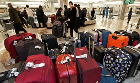 what to do if items are stolen from your luggage Dulles International Airport, Pet Food Packaging, Dubai Airport, Cute Mixed Babies, Airport Photos, Travel Pictures Poses, Renters Insurance, Checked Luggage, Mixed Babies