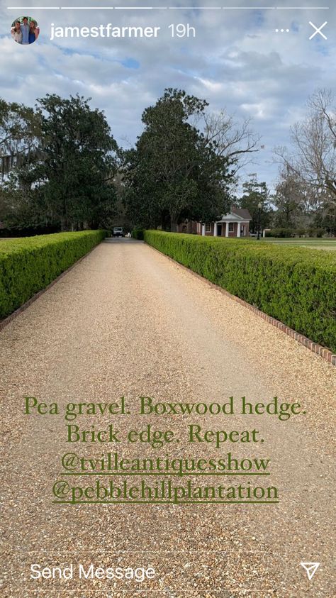 Pea Gravel Circular Driveway, Hedge Lined Driveway, Country Driveway Landscaping, Pebble Front Yard, Short Driveway Ideas, Hedge Driveway, Driveway Hedge, Roadside Landscaping, Long Driveway Landscaping