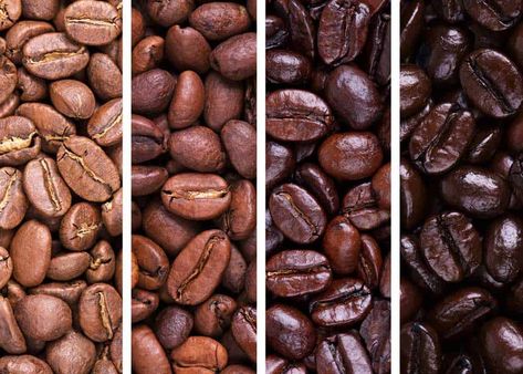 5 Types of Coffee Roasts: Flavor Profile, How to Use, Common Names | EnjoyJava Civet Coffee, Coffee Names, Types Of Coffee Drinks, Types Of Coffee Beans, Cold Brew Iced Coffee, Coffee Shop Branding, Light Roast Coffee, Infused Coffee, Types Of Beans