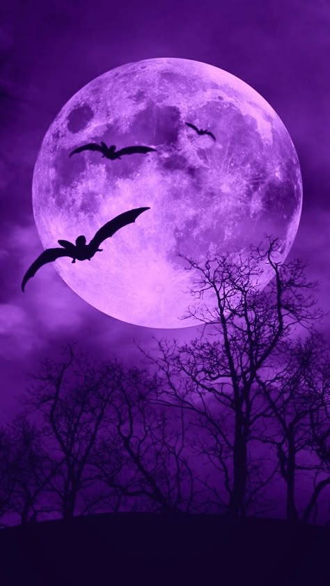 Goth Moon Aesthetic, Purple Goth Background, Purple Spooky Aesthetic, Purple Vampire Aesthetic, Purple Moon Aesthetic, Purple Magic Aesthetic, Purple Moon Wallpaper, Purple Witch Aesthetic, Purple Goth Aesthetic