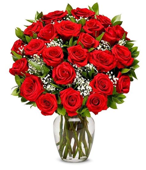 PRICES MAY VARY. INCLUDES: 24 Long-Stemmed Red Roses + Free Glass Vase GIFT DELIVERY: For maximum freshness, all orders are shipped overnight directly to your recipient's doorstep. Orders placed Monday thru Thursday before 2PM EST will be delivered the following day. There are no Saturday, Sunday, or Monday delivery options. CARE INSTRUCTIONS: Upon arrival, remove flower bouquets from wrap, trim ends of stems and replace in vase with fresh water including flower food packet. BUD FORM: Fresh flow Dozen Red Roses, Long Stem Roses, Send Flowers Online, Filler Flowers, Flower Words, Bouquet Delivery, Say It With Flowers, Birthday Background Images, Online Flower Delivery