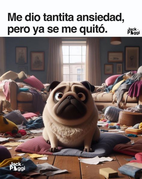 Pug, Funny Jokes, Funny Gif, Funny Quotes, Funny Memes, Humor, Memes, Dogs, Funny