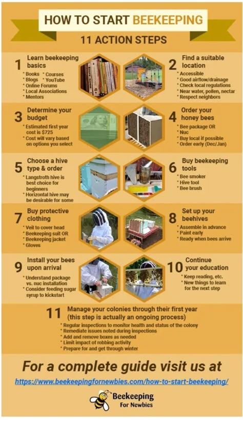 How To Start Beekeeping, Honey Bee Farming, Backyard Beehive, Bee Keeping Hives, Honey Bees Keeping, Bee Hive Plans, Backyard Bee, Beekeeping For Beginners, Raising Bees