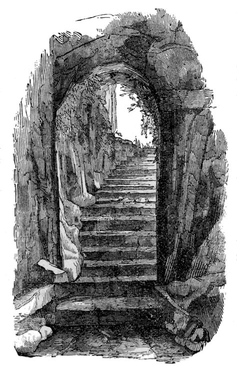 Entrance to St. Praetextatus -Roman catacombs Dungeon Staircase, Catacombs Drawing, Catacombs Art, Roman Catacombs, Pencil Aesthetic, Small Ornamental Trees, Staircase Drawing, Trees In Pots, Magical Library