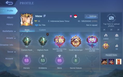 Mlbb Old Account Profile, Mobile Legends Epic Rank, Squad Photos, Boy And Girl Best Friends, Tool Hacks, Mobile Legends, Profile Picture, Manga Anime, Wallpapers