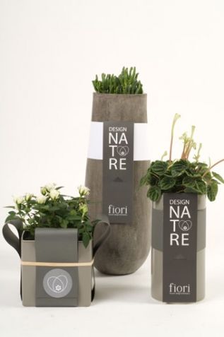 Sereal Designers - packaging - Fiori Present Packaging Plant Packaging Ideas, Plant Packaging, Present Packaging, Organic Packaging, Cool Packaging, Florist Shop, How To Wrap Flowers, Graphic Design Packaging, Flower Packaging