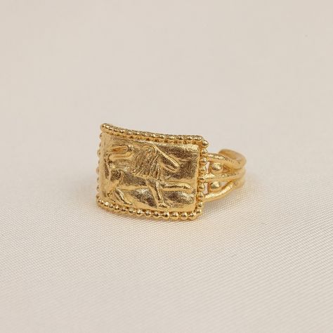 Lion Of God, Ancient Hebrew, French Jewelry, Waterproof Jewelry, Jewelry Lookbook, Gold Plated Rings, Jewelry Inspo, Exquisite Jewelry, A Sign