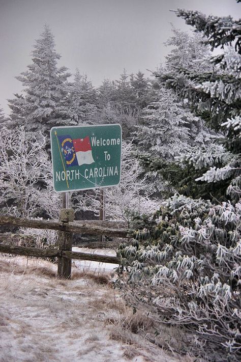 North Carolina Countryside, North Carolina Wallpaper, North Aesthetic, North Carolina Aesthetic, North Carolina Forest, North Carolina Winter, Mountains North Carolina, Roan Mountain, Carolina Do Norte