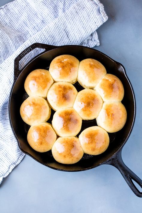 Fast Rising Instant Yeast Recipes, Skillet Rolls, 1 Hour Dinner Rolls Recipe, Homemade Rolls Without Stand Mixer, Active Dry Yeast Dinner Roll Recipes, Fast Rise Yeast Rolls, Rapid Rise Yeast Rolls Recipe, Dinner Rolls Using Rapid Rise Yeast, Rapid Rise Yeast Rolls