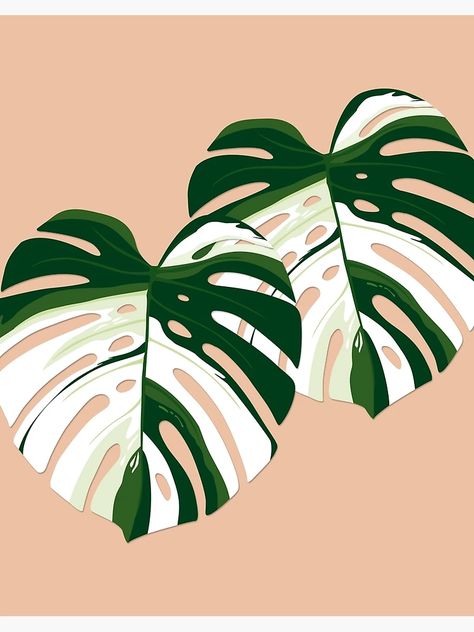 "Monstera Deliciosa Variegata - illustration" Art Board Print by Martina-Ludewig | Redbubble Realtor Logos, Monstera Illustration, Leaf Aesthetic, Monstera Variegata, Botanical Sketches, Clay Cafe, Plant Cartoon, Clay Patterns, Monkey Pattern