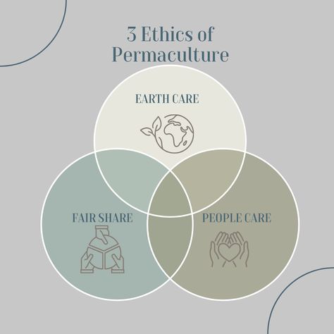 Let's talk about the three ethics of permaculture: Earth Care, People Care, and Fair Share! Permaculture Principles, Small Herb Gardens, Support Local Farmers, Sustainable Practices, Healthy Environment, Let's Talk About, Design System, Permaculture, Let's Talk