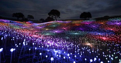 Field Of Lights, Domestic Trips, Funny Fairy, Crystal Planet, Street Graffiti Art, Southwest Travel, Red Desert, Lady Bird Johnson Wildflower Center, Dry Desert