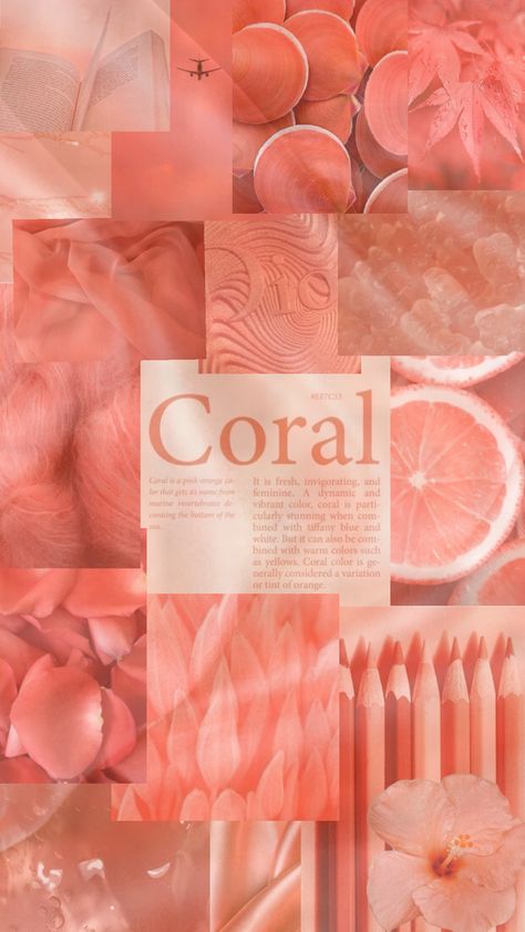 #coral#aesthetic#cute#peach#slay#f4f Soft Coral Aesthetic, Color Peach Aesthetic, Light Coral Aesthetic, Coral Astethic, Pink Coral Aesthetic, Coral Color Aesthetic, Aesthetic Pink And Orange, Angie Core, Pastel Color Aesthetic