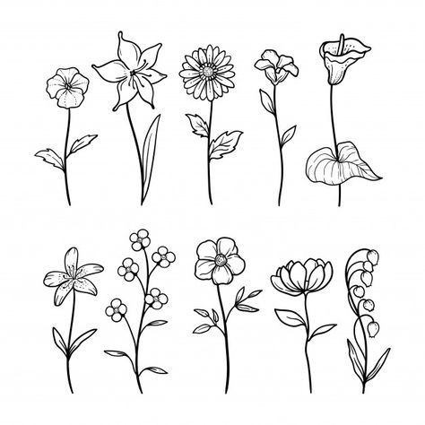 Doodle Art Flowers, Flower Drawings, Graphic Floral, Floral Tattoo Design, Easy Drawings For Kids, Floral Drawing, Bullet Journal Art, Plant Drawing, Hand Drawn Flowers