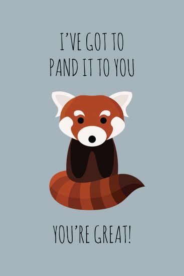 Red Panda Thinks You're Great by petegrev. Funny pun design of a red panda. Red Panda Quotes, Positive Puns, Formal Proposal, Kindness Notes, Panda Puns, You're Great, Ipad Journal, Pun Cards, Journal Pics