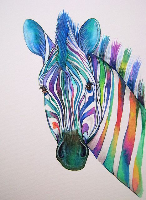 Colorful Animal Paintings, Zebra Painting, Zebra Art, Colorful Animals, Art Prints For Sale, Watercolor Animals, Zebras, Animal Paintings, Sign Art